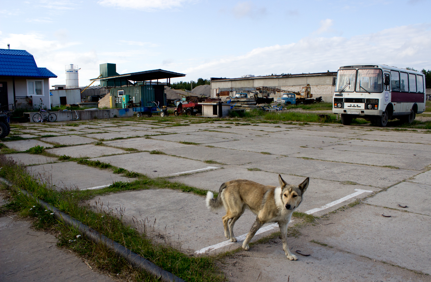 solovetskin_saari_satama_venaja_parasta_matkalla_blogi
