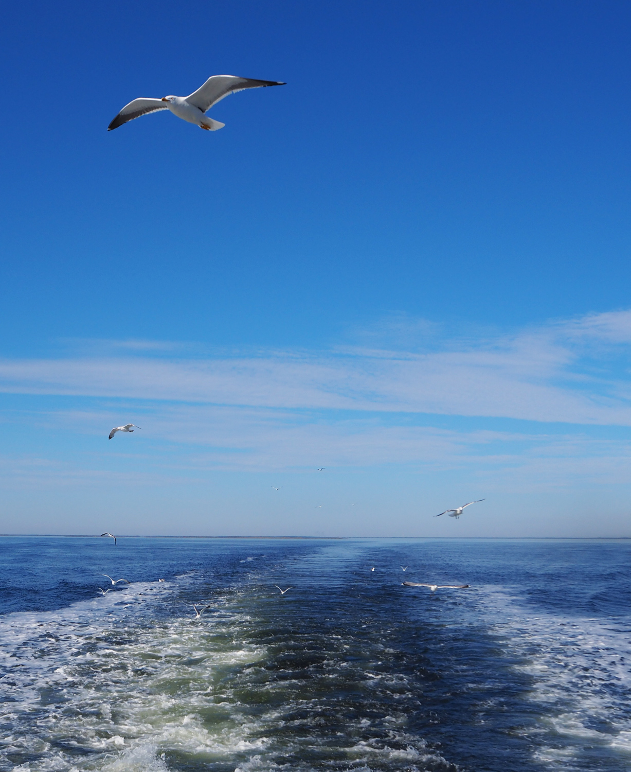 vienanmeri_solovetsk_venaja_parasta_matkalla_blogi