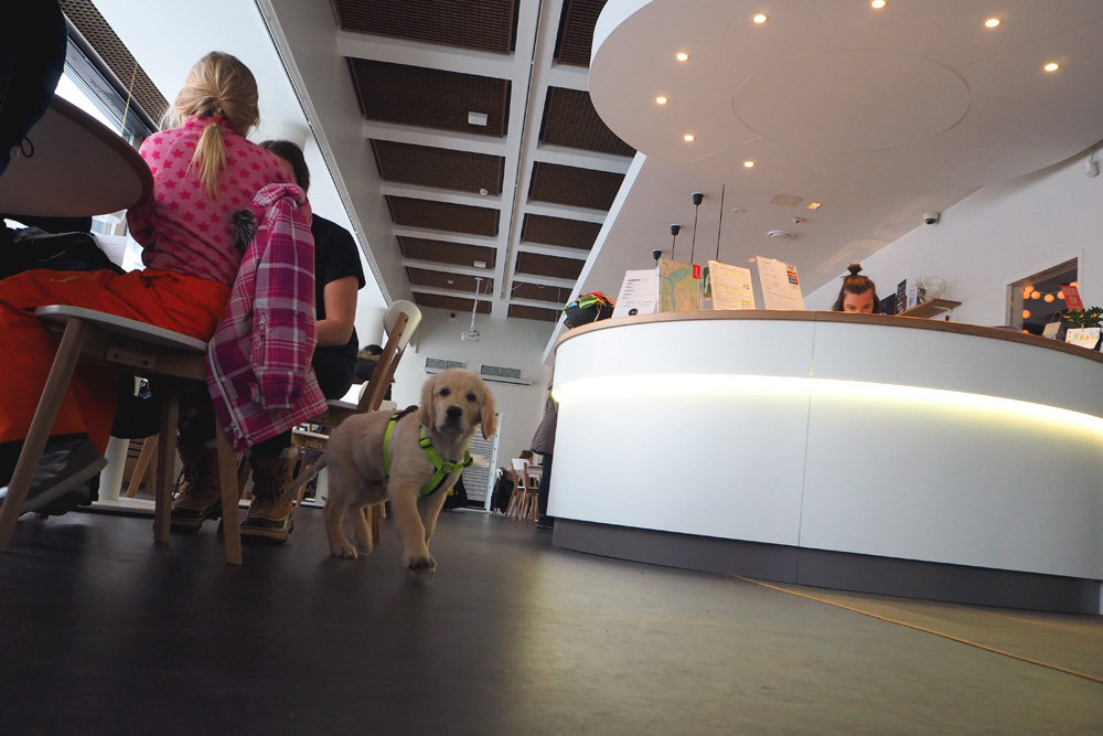 Hostel_Cafe_Koti_Rovaniemi_Parasta_matkalla_blogi